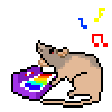 g_rat Emote