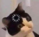 c16 Emote