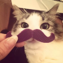 cat Emote