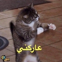 emoji_26 Emote