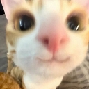 heyy Emote