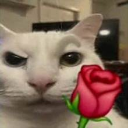OIP3 Emote
