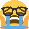 nurdy_sob Emote