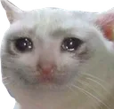 emoji_61 Emote