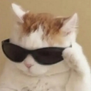 catcool Emote