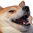 dogelaugh Emote