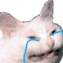 WhyUCrying Emote
