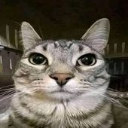 ooore_baabaa_faauck Emote