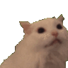 emoji_147 Emote