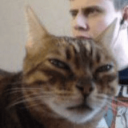 huhcat Emote