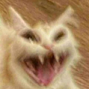 NHM_hhhh Emote