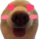 a_doggyinlove Emote