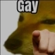Gay Emote