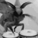 s_Moth_Drummer Emote