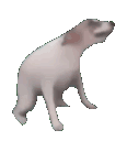emoji_1783077493575 Emote