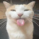 tonguecat Emote