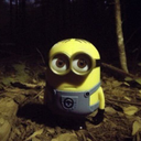 77632 Emote