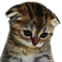03sad Emote