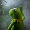 r_kermit_rain Emote