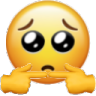 shy Emote