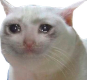 w_sadcat Emote