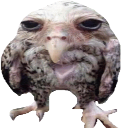 sova_2 Emote
