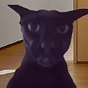 Larry Emote