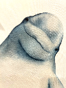V_ducki Emote