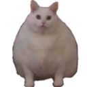 chonk Emote