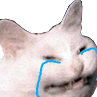 UwU Emote