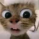 wtf Emote