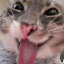 emoji_119 Emote
