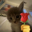 emoji_140 Emote