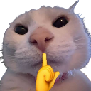 emoji_34 Emote