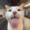 emoji_88 Emote