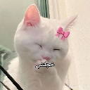emoji_51 Emote