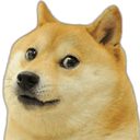 funnydog Emote