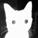 stare Emote