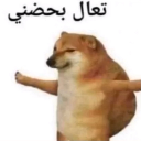 STAR_7odn Emote