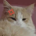 emoji_51 Emote