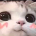 8767emoji_41 Emote