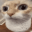 uhh Emote