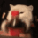 s_cat_cola Emote