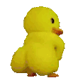 dupka Emote