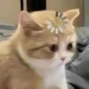 emoji_37 Emote