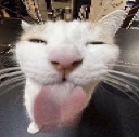 millyTOING2 Emote