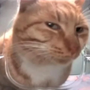 Sus Emote