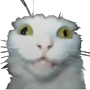298299crazykitty Emote