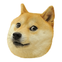 d_1doge Emote
