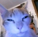 losvoyamatar Emote